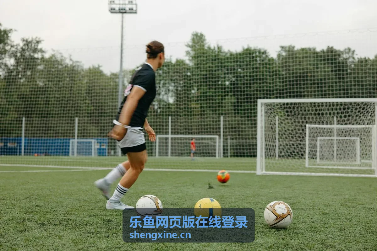 乐鱼网页版在线登录回放封面：画面与声音设置建议